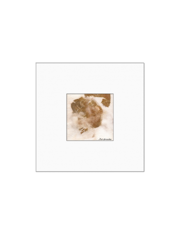 Quadro arte botânica BYJG170 Quadro arte botânica BYJG170