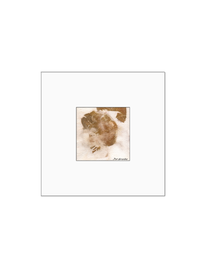 Quadro arte botânica BYJG170