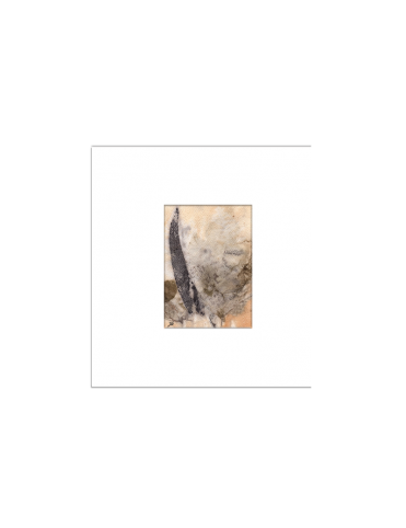 Quadro arte botânica BYJG4185 Quadro arte botânica BYJG4185