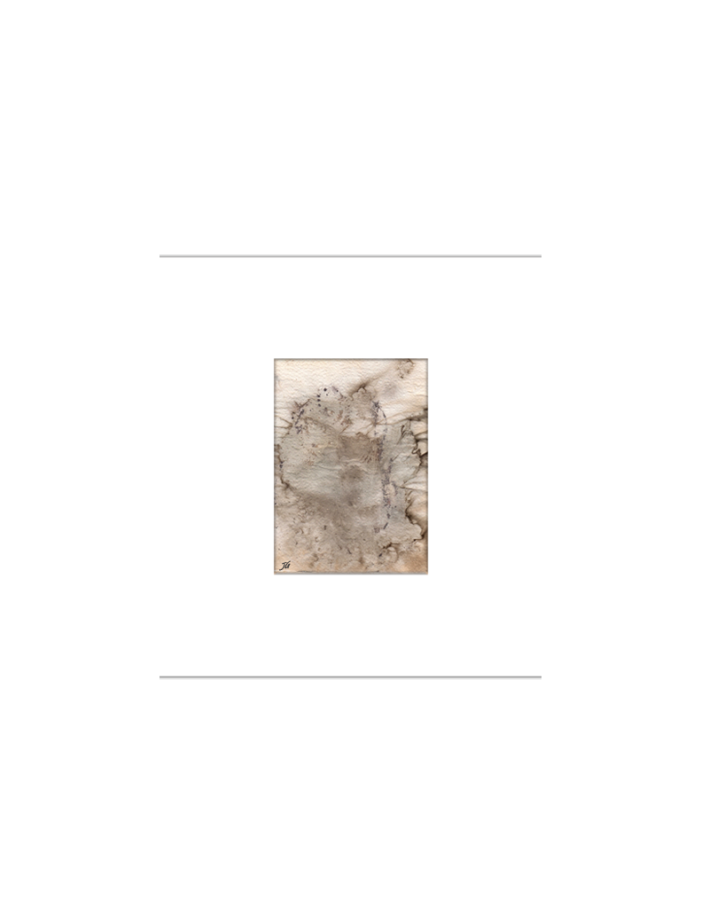 Quadro arte botânica BYJG4185