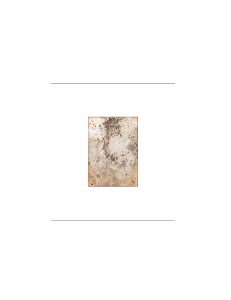 Quadro arte botânica BYJG4185