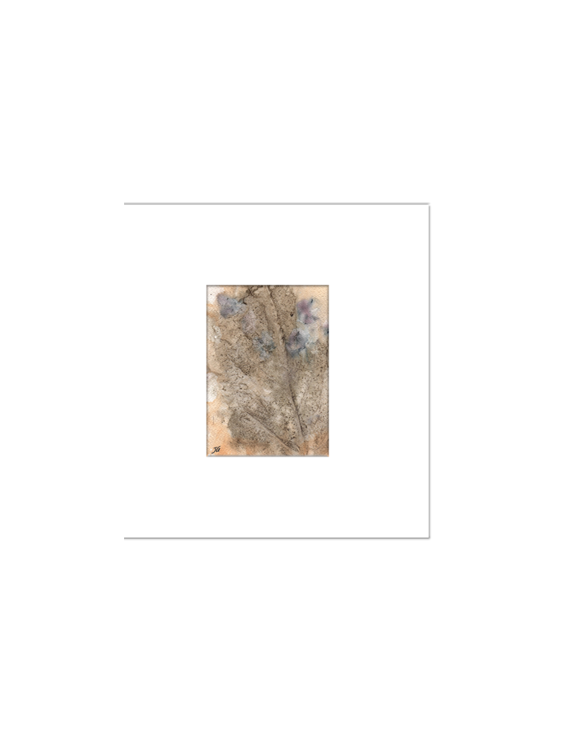 Quadro arte botânica BYJG4185
