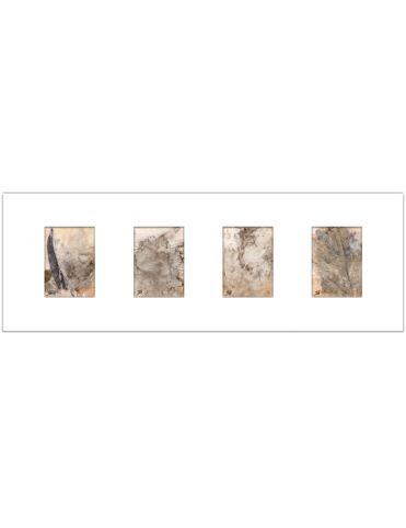 Quadro arte botânica BYJG4185 Quadro arte botânica BYJG4185