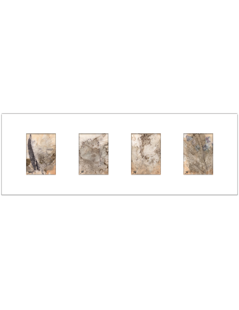 Quadro arte botânica BYJG4185