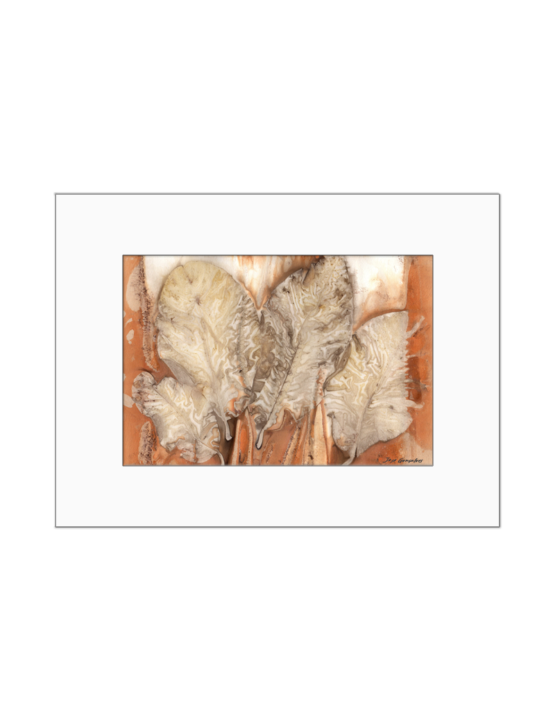 Quadro arte botânica BYJG154