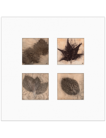 Quadro arte botânica BYJG4101 Quadro arte botânica BYJG4101