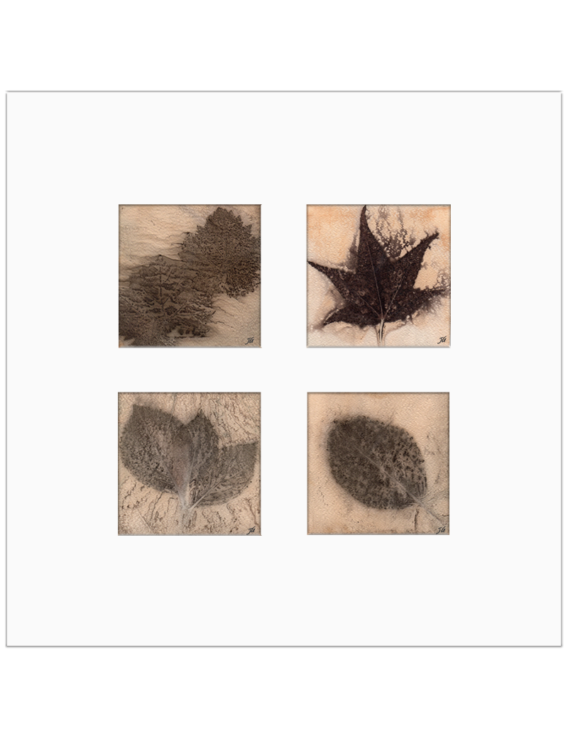 Quadro arte botânica BYJG4101