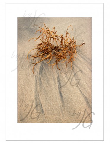 Quadro decorativo Na Vazante BYJG204 Quadro decorativo Na Vazante BYJG204