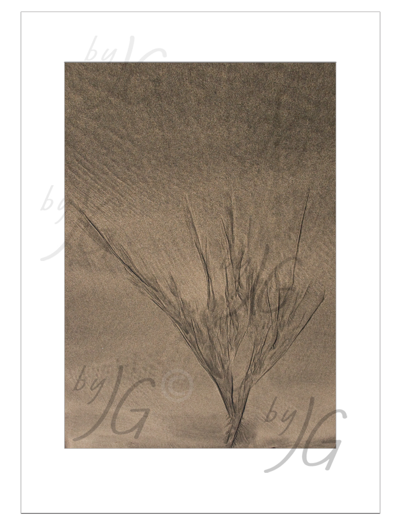 Quadro decorativo Árvore na Praia BYJG202