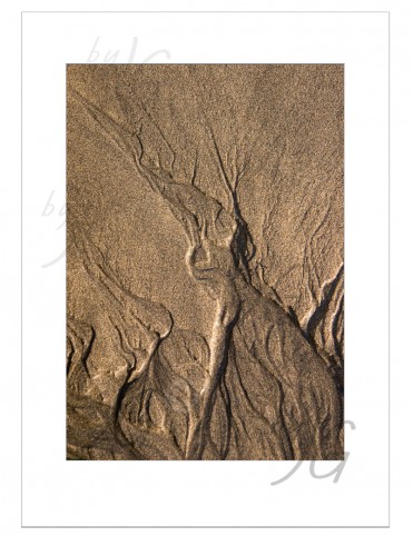 Quadro decorativo Seres da Areia BYJG203 Quadro decorativo Seres da Areia BYJG203