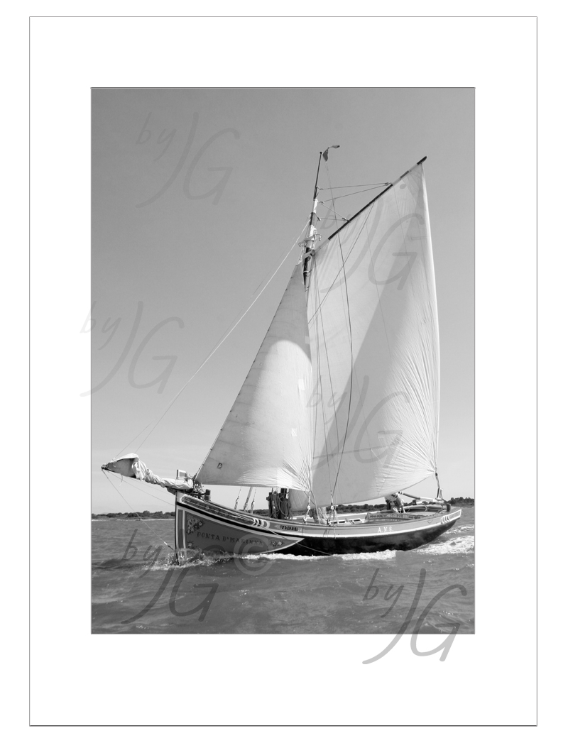 Quadro decorativo Canoa do Tejo BYJG523